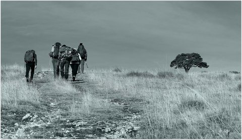 Randonnée du 27/11/2016 à la montagne de l'Aup, PB270055-01  Copier 