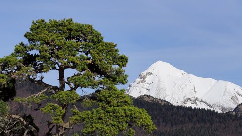 Randonnée du 27/11/2016 à la montagne de l'Aup, PB270065  Copier 