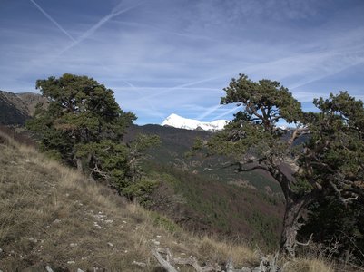 Randonnée du 27/11/2016 à la montagne de l'Aup, PB270088  Copier 