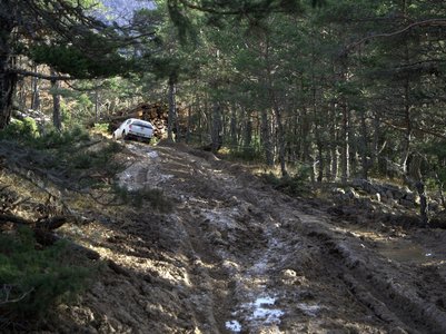 Randonnée du 27/11/2016 à la montagne de l'Aup, PB270091  Copier 