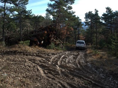Randonnée du 27/11/2016 à la montagne de l'Aup, PB270092  Copier 