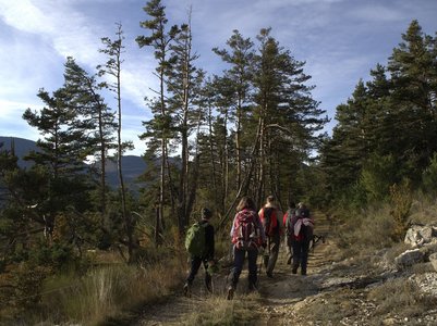 Randonnée du 27/11/2016 à la montagne de l'Aup, PB270099  Copier 