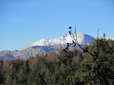 randonnée du 13/12/2016 à St Geniez, IMG_0042