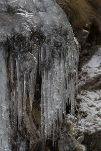 Cascade Amblard, patrice-7294