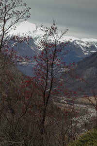 Cascade Amblard, patrice-7352