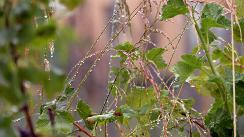 Quelques photos en vrac, June 28 2014  07 Tears of the sky