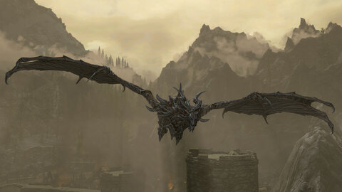 Captures d'écran de jeux videos_les dragons, Skyrim SE 2016_011_Liberation