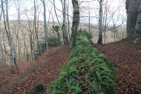 Chateau Mongilbert, IMG_0112
