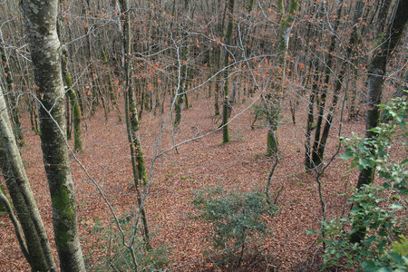 Chateau Mongilbert, IMG_0117