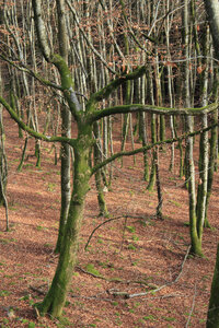 Chateau Mongilbert, IMG_0124