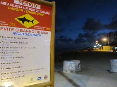Brasil, Attention aux requins sur la plage