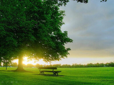 Mes photos, Banc