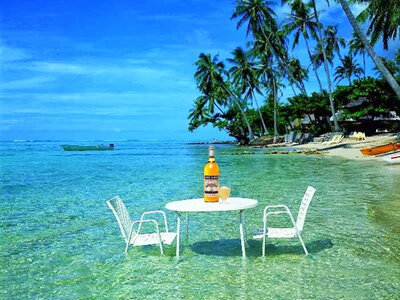 Mes photos, Bouteille de Ricard