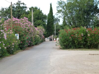 Mes photos, Roquebrune sur Argens - Camping du moulin des iscles