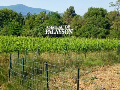 Mes photos, Roquebrune sur Argens - Chateau Palayson