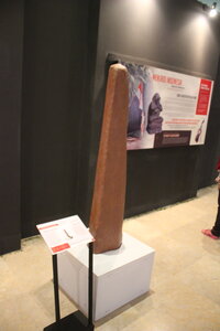 NEW DISPLAY MUSEUM, IMG_3391