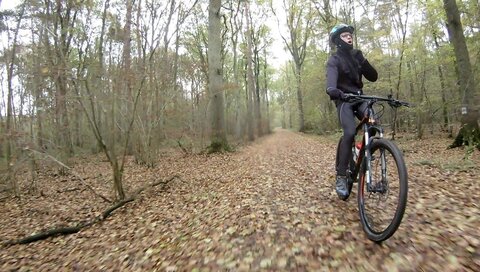 vtt francis59192, vlcsnap-error693-1