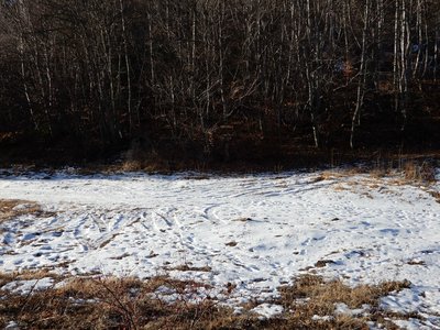 Randonnée du 29/01/2017 au-dessus de la Bréole, DSCN0257