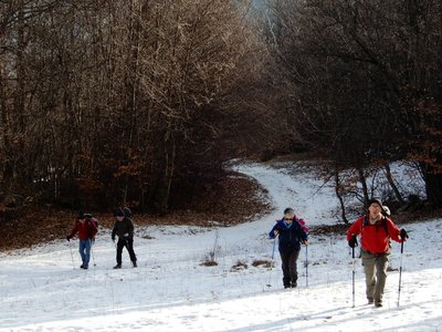 Randonnée du 29/01/2017 au-dessus de la Bréole, DSCN0262