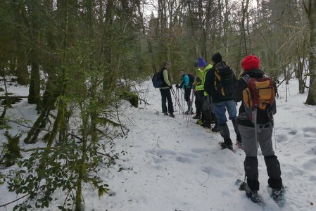 20170129 Raquettes Traversée Arp, 20170129 Raquettes Vercors traversee montagne Arp  6 _al