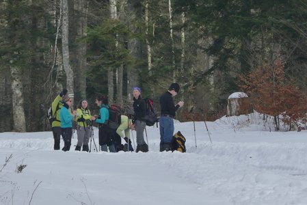 20170129 Raquettes Traversée Arp, 20170129 Raquettes Vercors traversee montagne Arp  27 _al