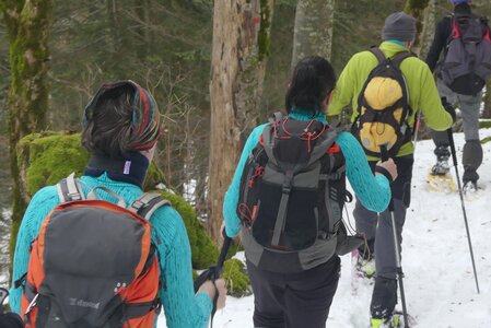 20170129 Raquettes Traversée Arp, 20170129 Raquettes Vercors traversee montagne Arp  40 _al