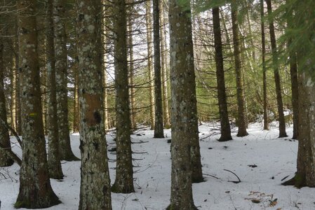 20170129 Raquettes Traversée Arp, 20170129 Raquettes Vercors traversee montagne Arp  53 _al