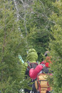 20170129 Raquettes Traversée Arp, 20170129 Raquettes Vercors traversee montagne Arp  69 _al