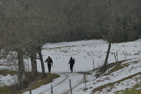 20170129 Raquettes Traversée Arp, 20170129 Raquettes Vercors traversee montagne Arp  76 _al