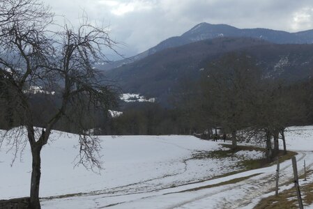 20170129 Raquettes Traversée Arp, 20170129 Raquettes Vercors traversee montagne Arp  78 _al