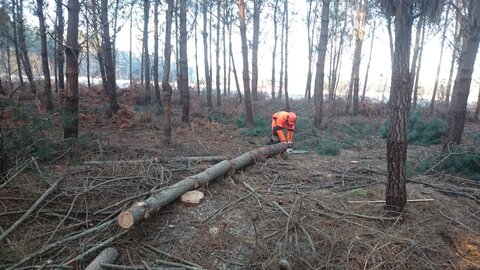 1re et Term foret 2017, 170120-DSC_0339