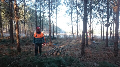 1re et Term foret 2017, 170120-DSC_0342