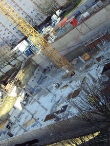 2012 (01), 270112(5)