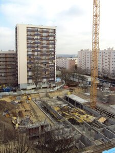 2012 (02), 24022012(7)