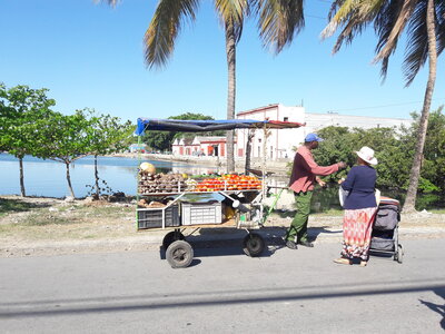 cuba 2, 20170131_103411
