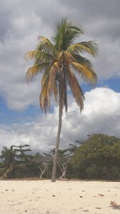 cuba 2, 20170203_122215