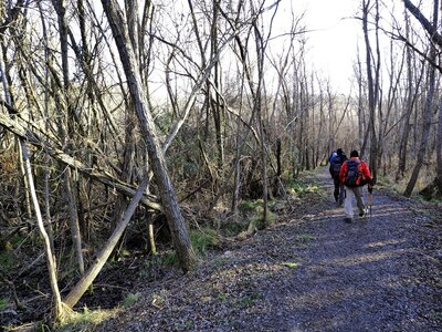 Randonnée du 19 /02 / 2017 de Volonne à Malijai, P2190022  Copier 