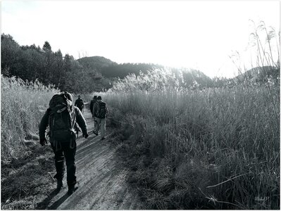 Randonnée du 19 /02 / 2017 de Volonne à Malijai, P2190025-001  Copier 