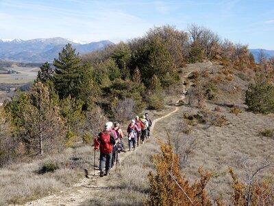 Randonnée du 22/02/2017 à la Montagne de Chabre, DSCN0490