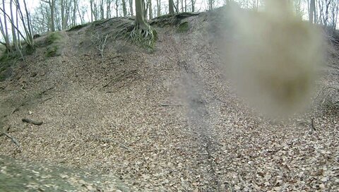 vtt francis59192, photo fs-00039