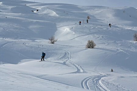2017-03-06-11-ski-freerando-livigno, alpes-aventure-ski-livigno-vallaccia-2017-03-08-38