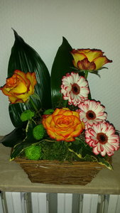 Compos florales 2014/2015, Mars 2015