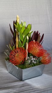 Compos florales 2016/2017, Octobre 2016
