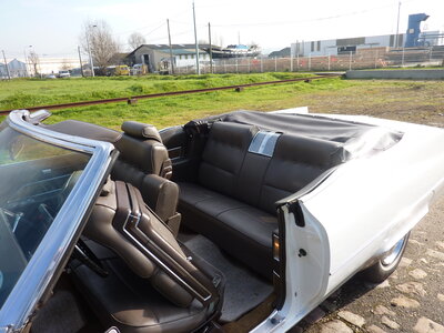 Cadillac, P1020087