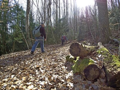 Randonnée du 14/03/2017 sur la Crête de Chamouse, P3140023  Copier 
