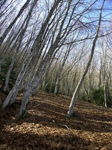 Randonnée du 14/03/2017 sur la Crête de Chamouse, P3140025  Copier 