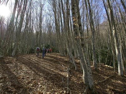 Randonnée du 14/03/2017 sur la Crête de Chamouse, P3140027  Copier 