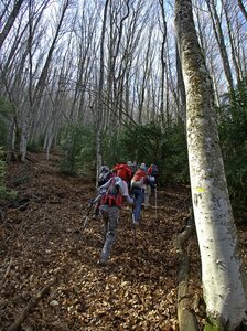 Randonnée du 14/03/2017 sur la Crête de Chamouse, P3140028  Copier 