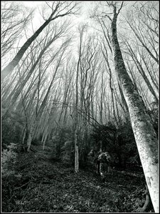 Randonnée du 14/03/2017 sur la Crête de Chamouse, P3140029-001  Copier 