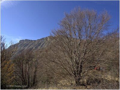 Randonnée du 14/03/2017 sur la Crête de Chamouse, P3140030  Copier 